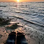 Mereaeaere Glamping Ja Rannamaja