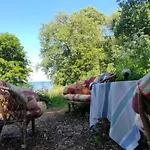 Mereaeaere Glamping Ja Rannamaja Glamping Liimala