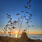 Mereaeaere Glamping Ja Rannamaja