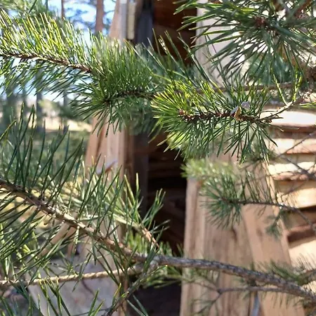 אוהל מפואר Mereaeaere Glamping Ja Rannamaja *