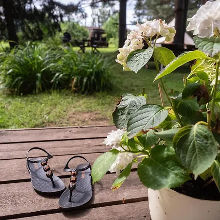 Mereaeaere Glamping Ja Rannamaja