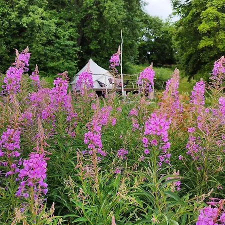 Luxury tent Mereaeaere Glamping Ja Rannamaja *
